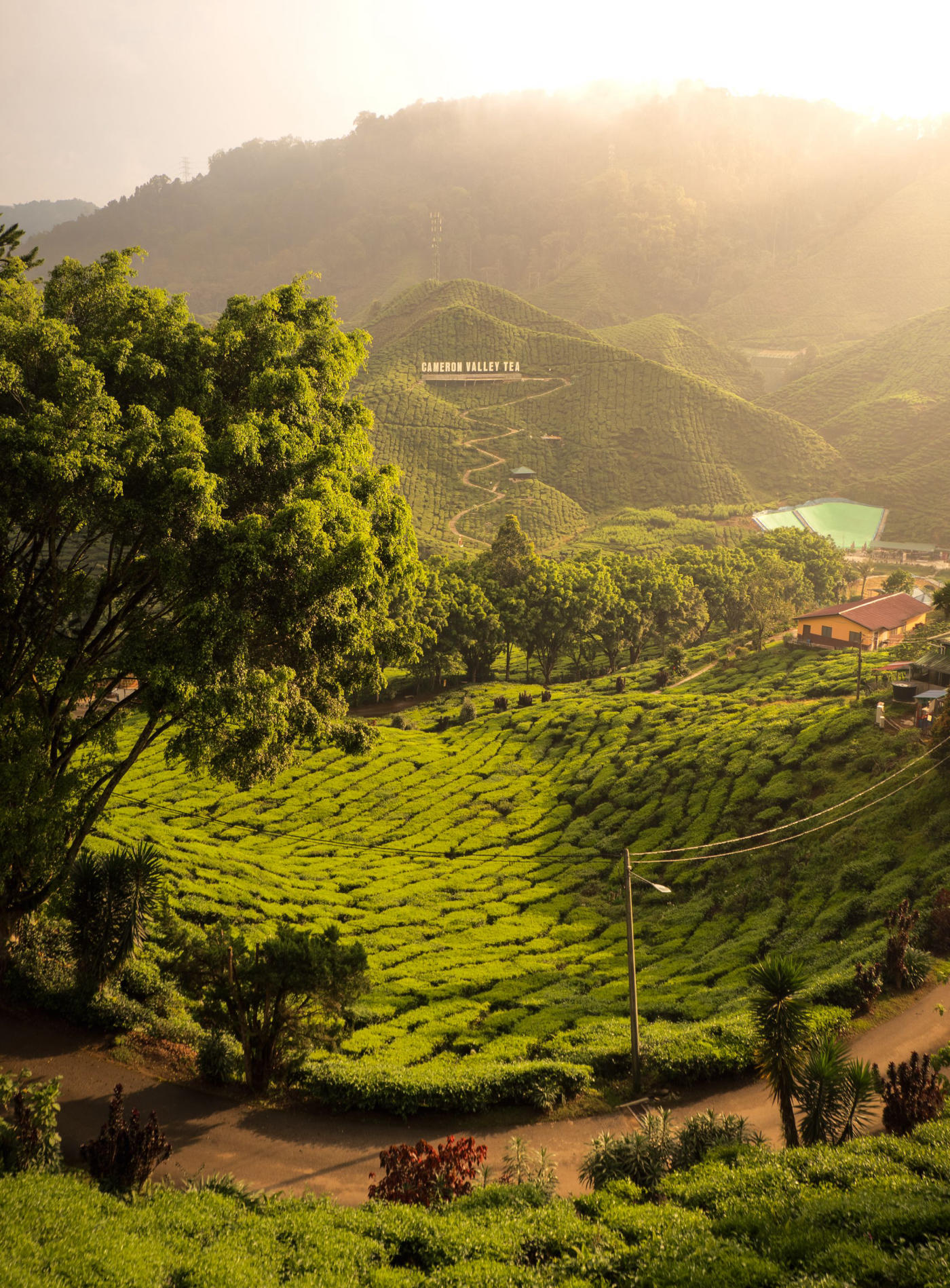 Kuala Lumpur to the Cameron Highlands — photo 5