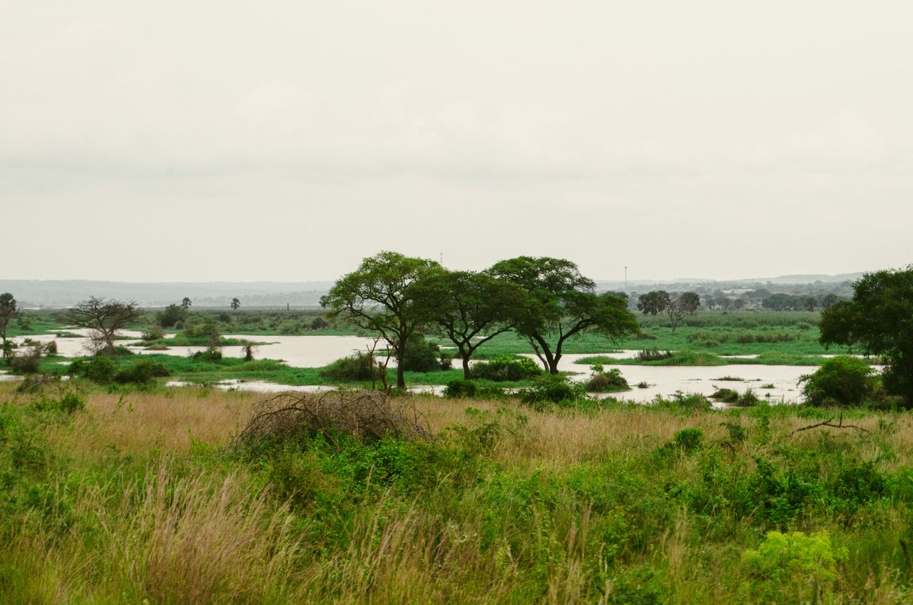 Campamento Fluvial de Liwonde