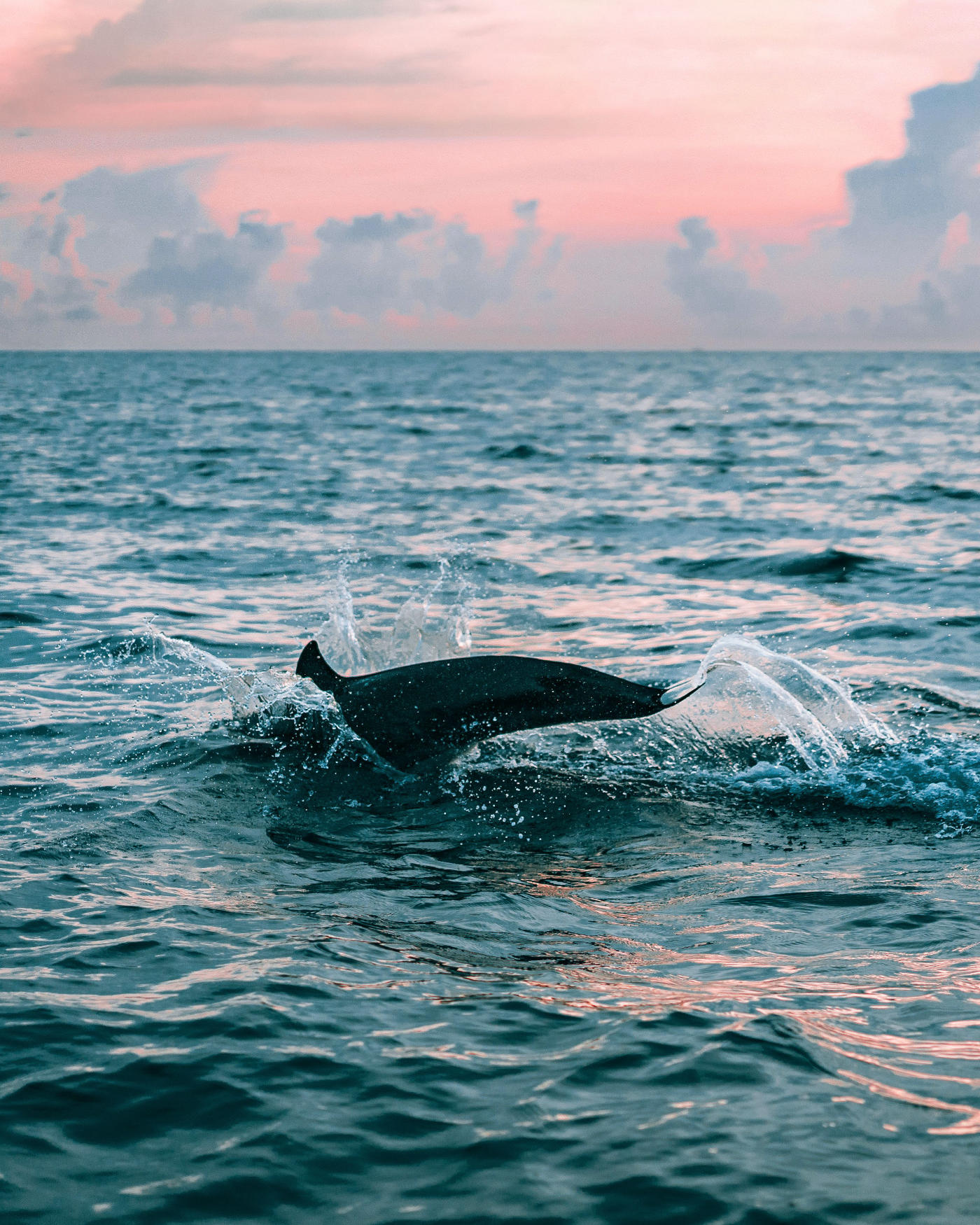 Maldives : sur pilotis, déconnecté — photo 7