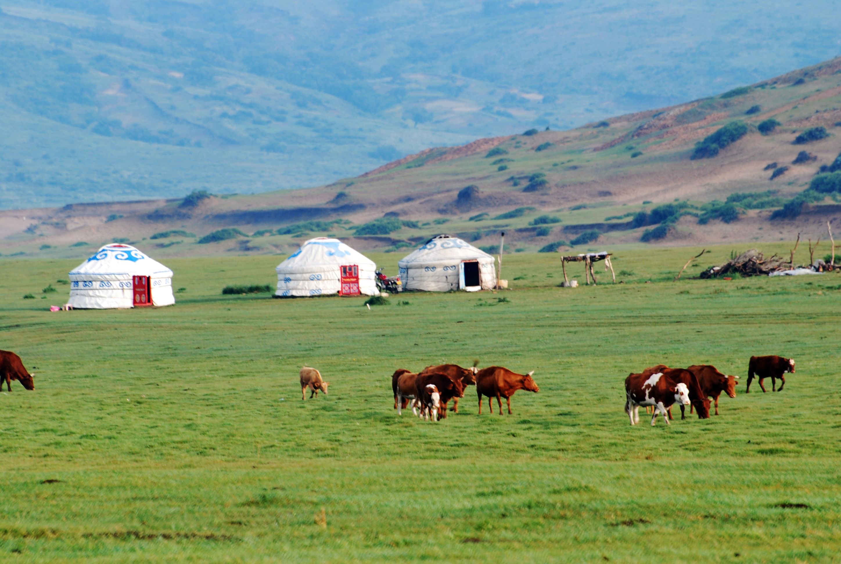Ulaanbaatar to the Gobi Desert — photo 3
