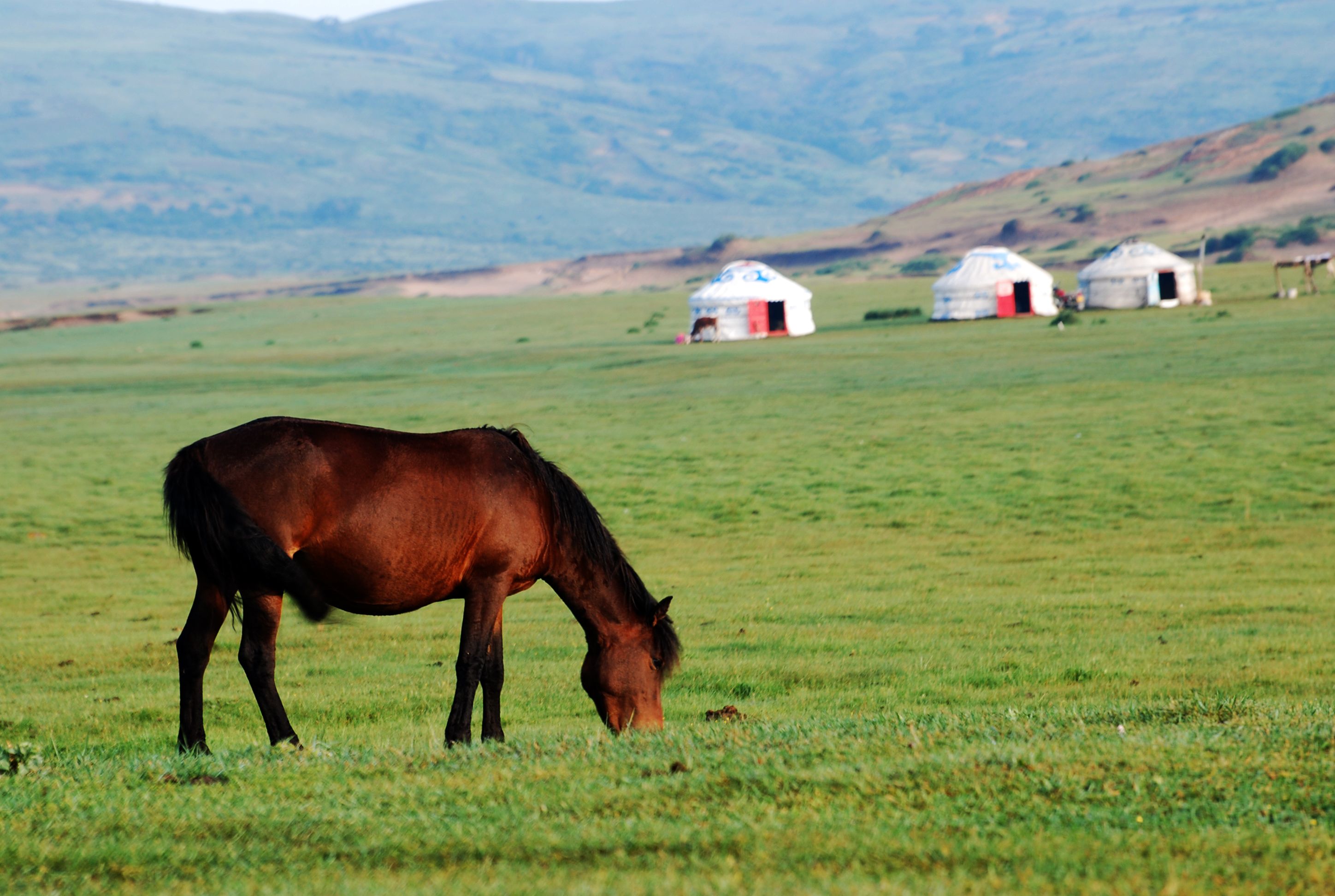 Ulaanbaatar to the Gobi Desert — photo 7