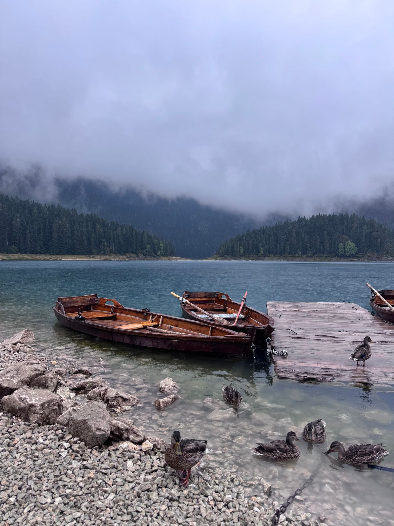 Kotor to Durmitor — photo 1