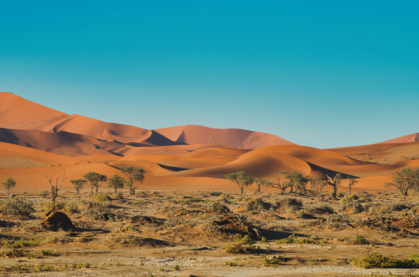 De Sossusvlei a Damaraland: dunas rojas y desierto — photo 3