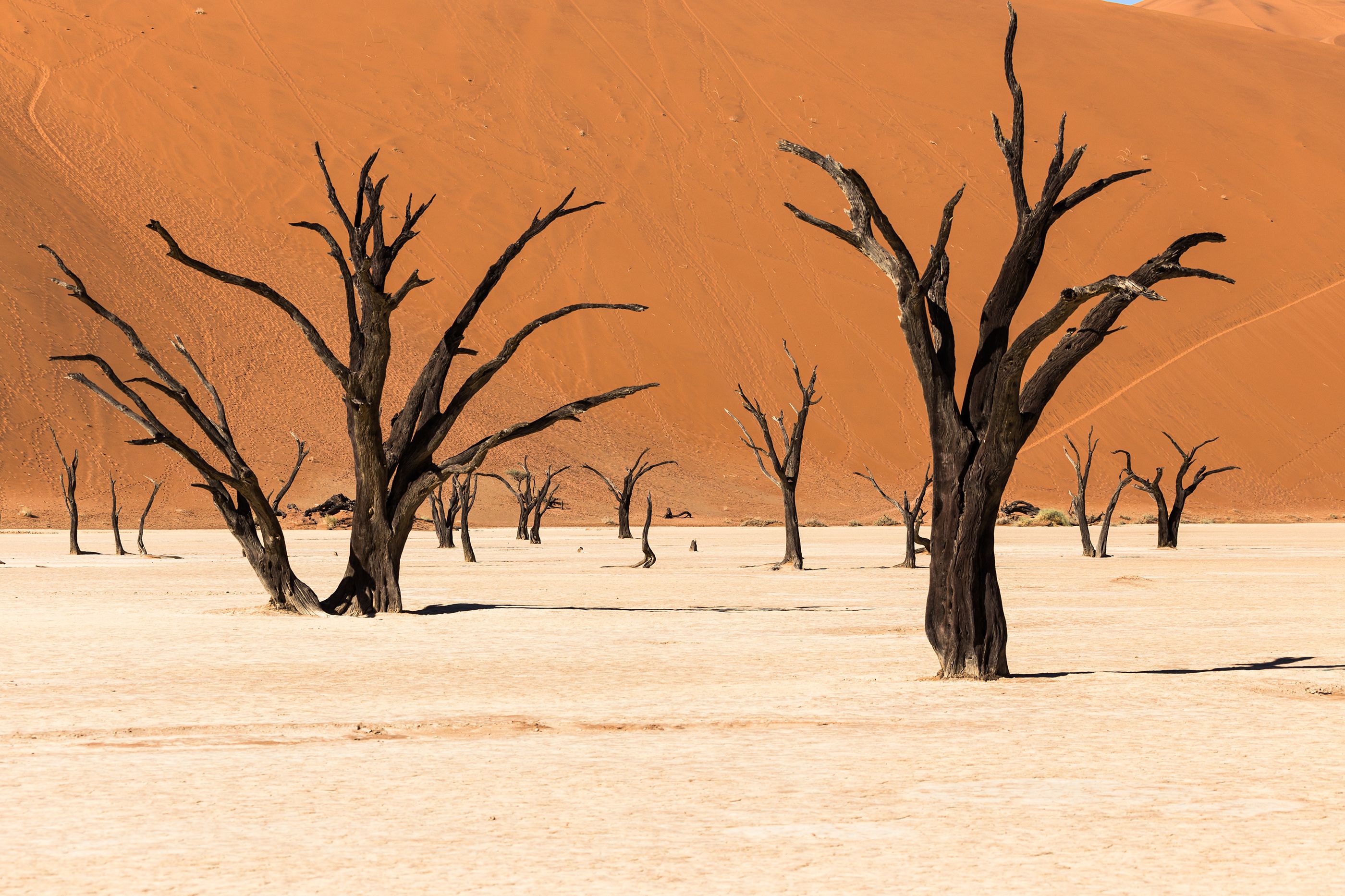 De Sossusvlei a Damaraland: dunas rojas y desierto — photo 4