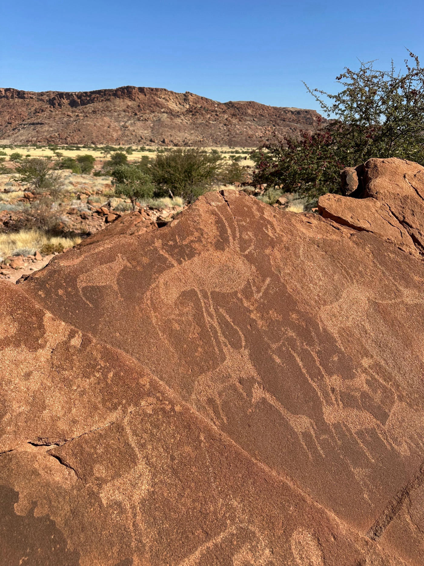 De Sossusvlei a Damaraland: dunas rojas y desierto — photo 1