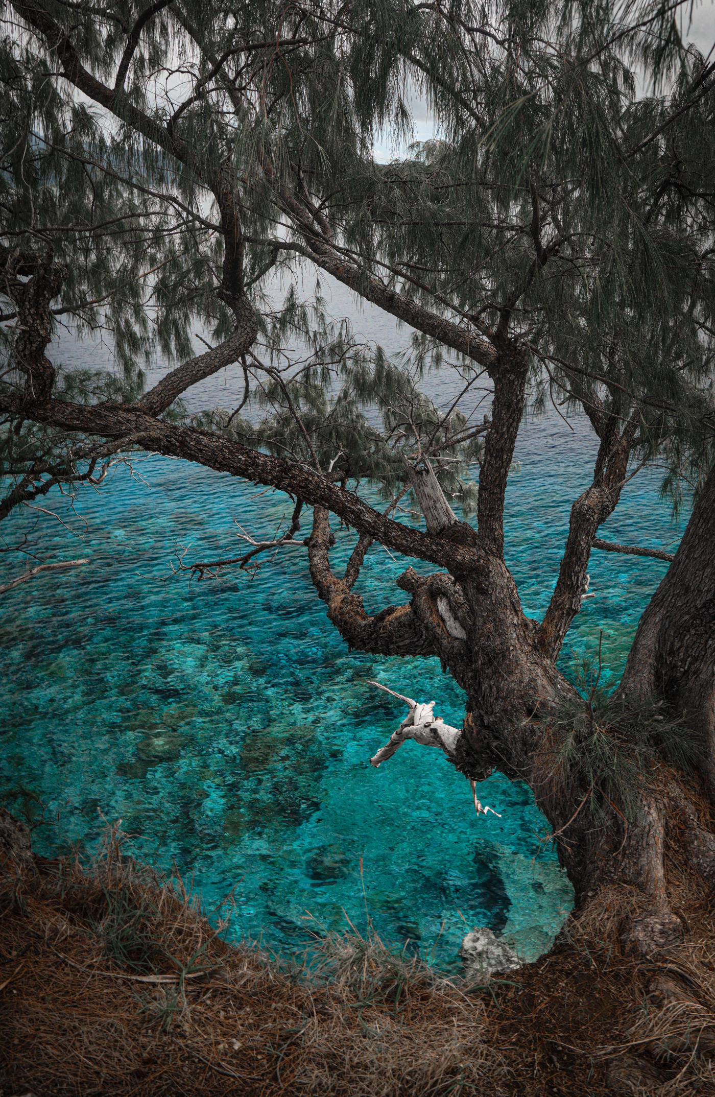 Baie des Citrons Hotel