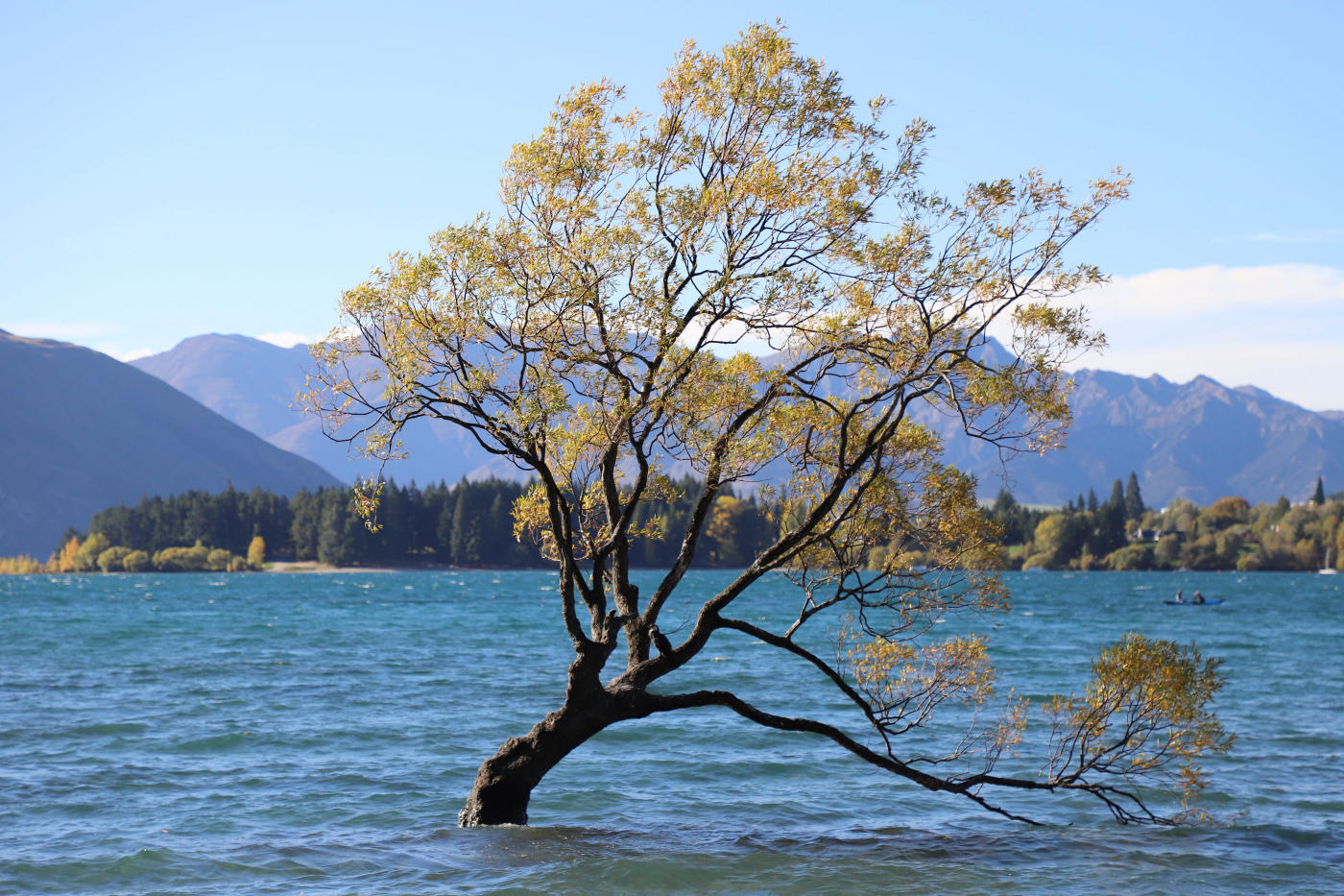 Queenstown au Fiordland : road trip du bout du monde — photo 6