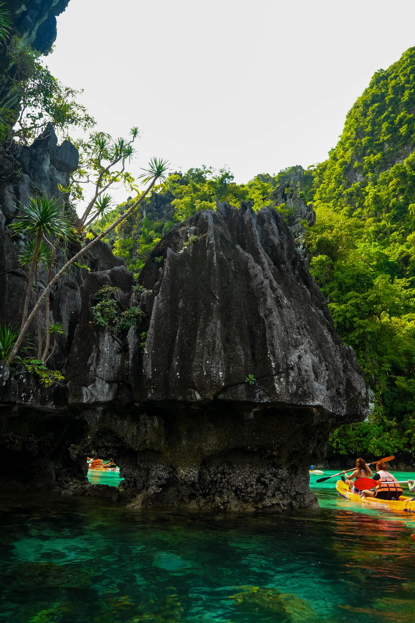 Palawan to Bohol — photo 3