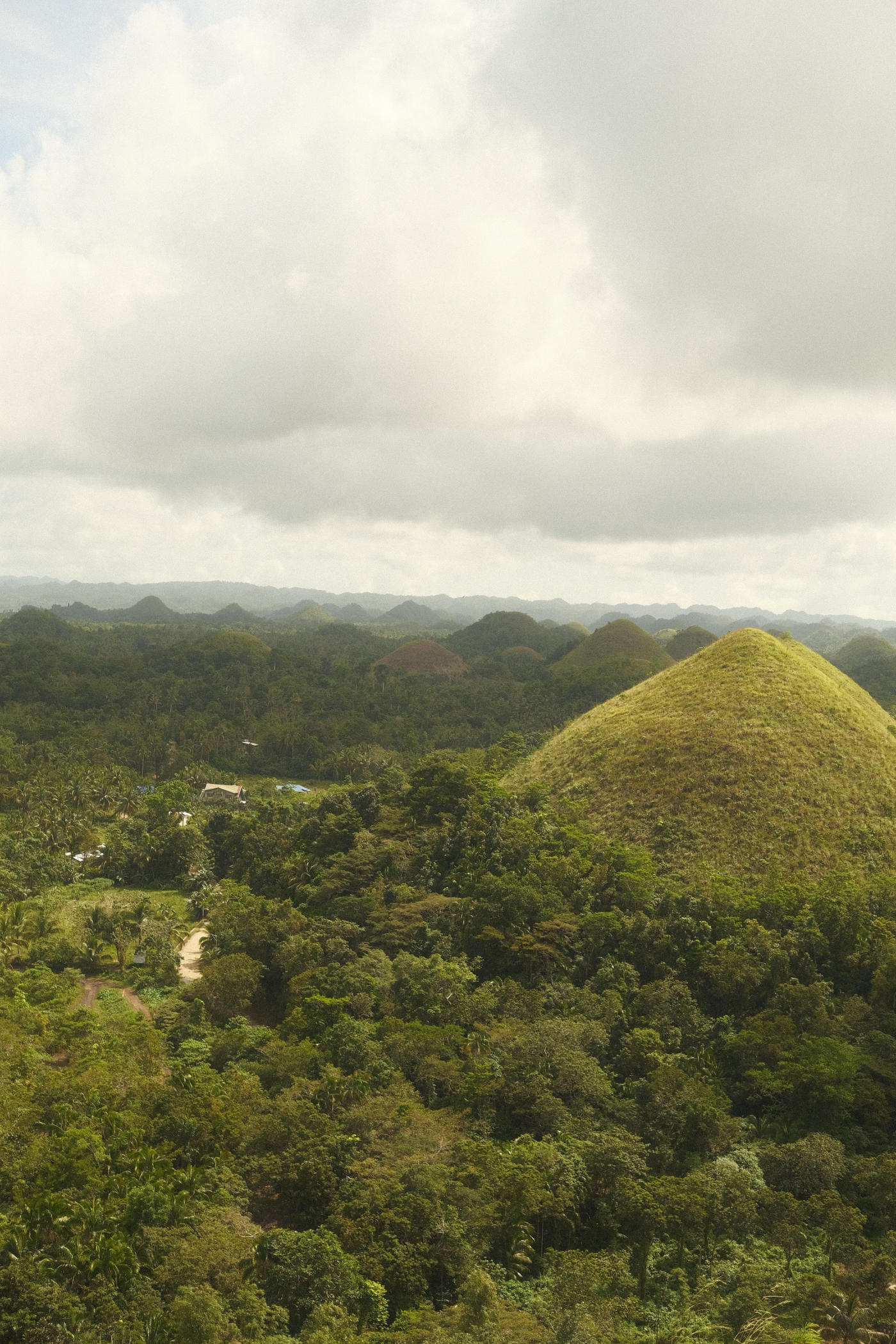 Palawan to Bohol — photo 5