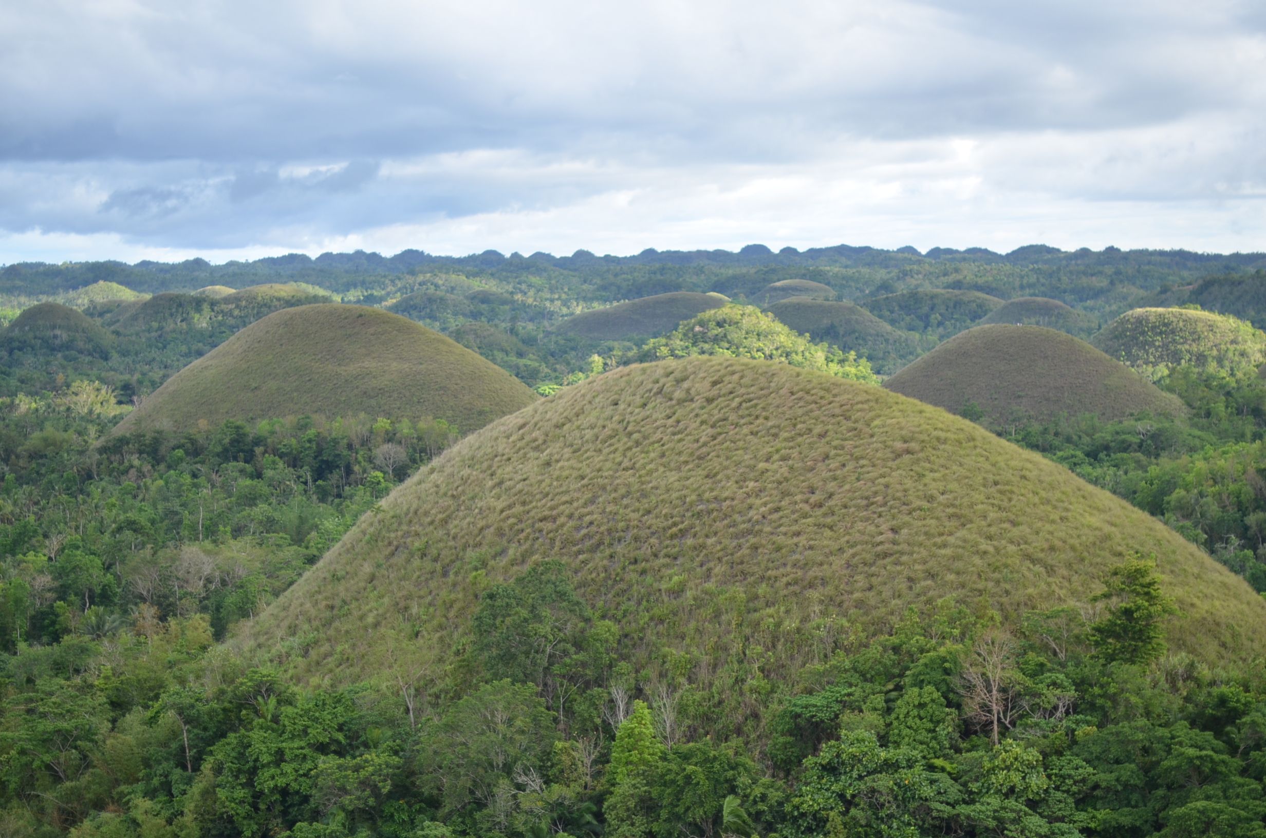 Palawan to Bohol — photo 7