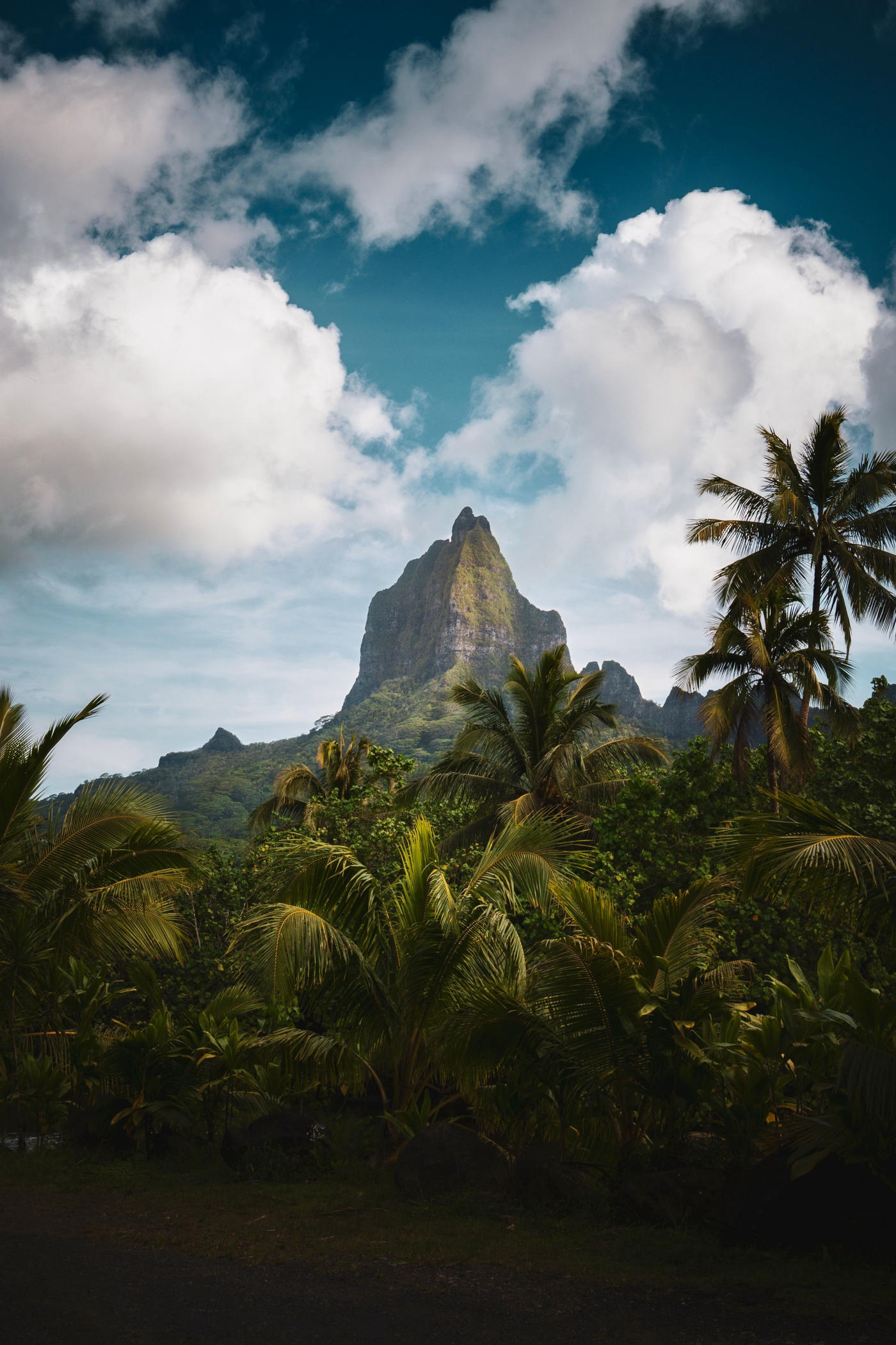 Tahiti à Bora Bora — photo 5