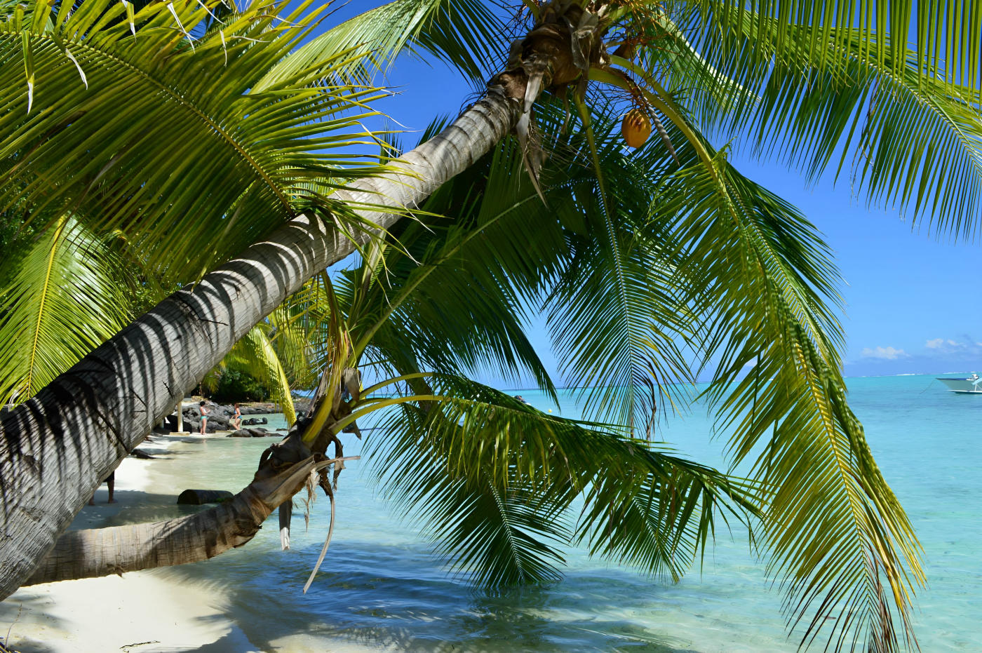 Villa en Bord de Lagon à Tahiti