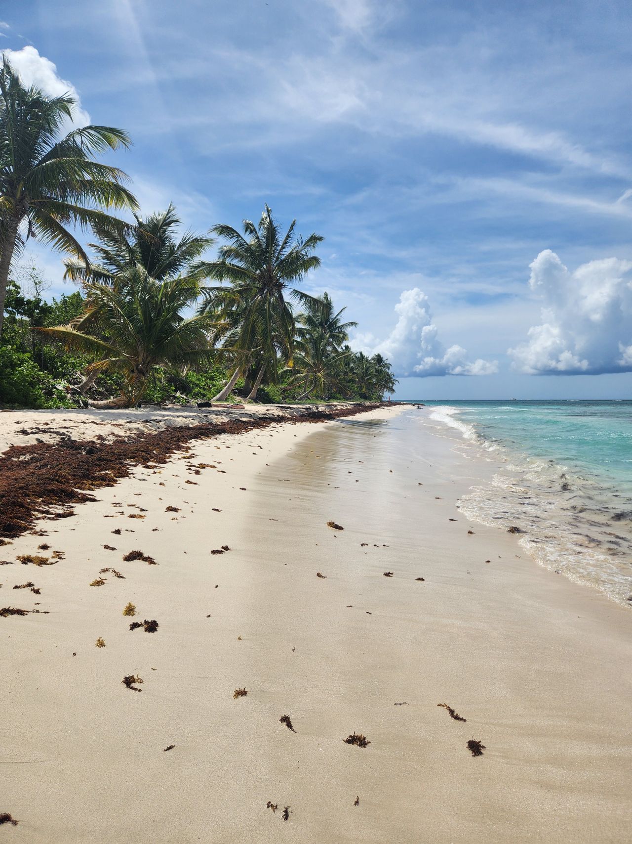 Pension en Bord de Plage de Vieques