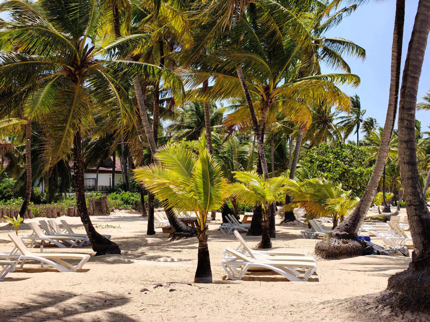 Santo Domingo to Punta Cana — photo 5