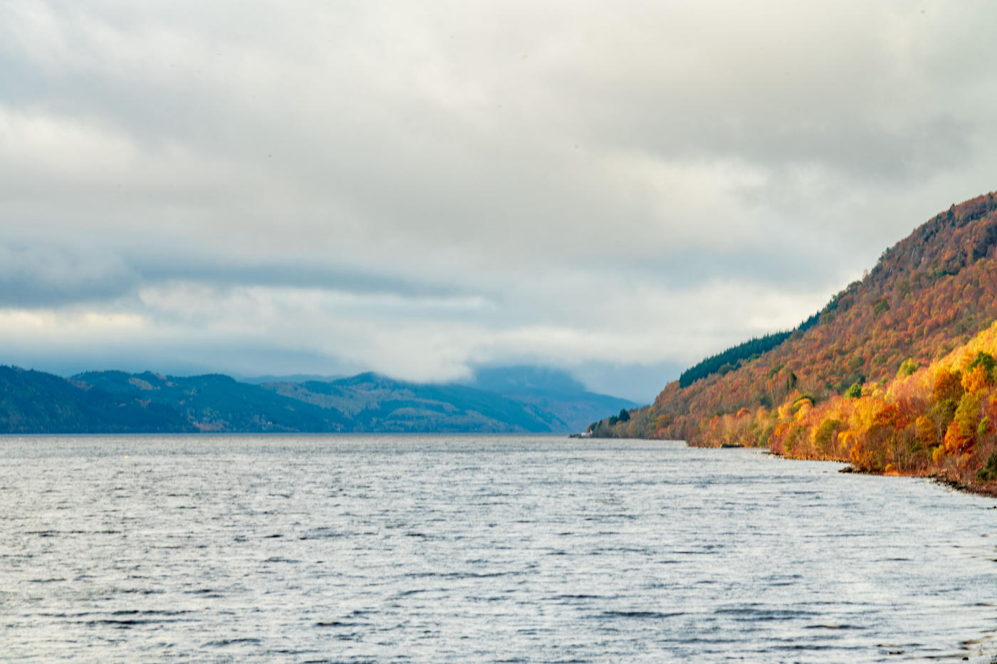 Royaume-Uni : Londres et les Highlands d'Écosse — photo 7