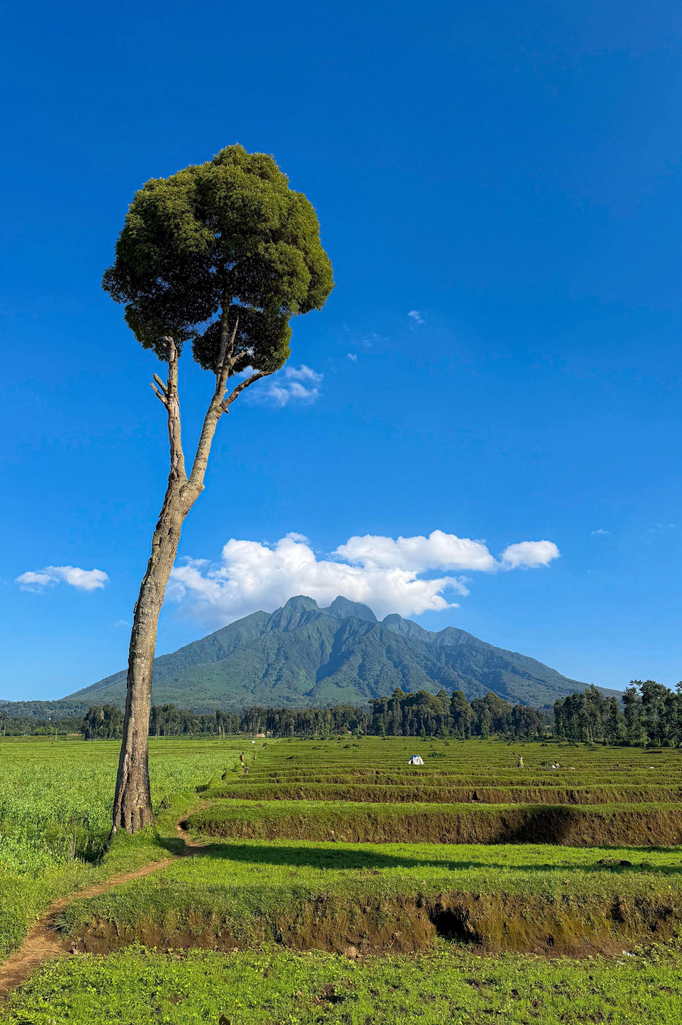 Kigali to Volcanoes National Park — photo 5