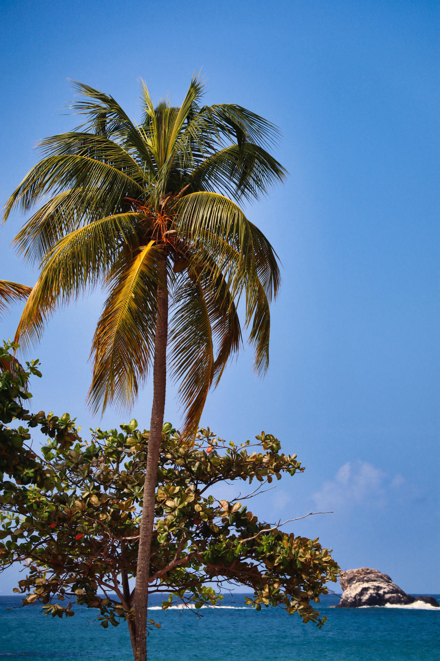 Soufrière aux Pitons — photo 4
