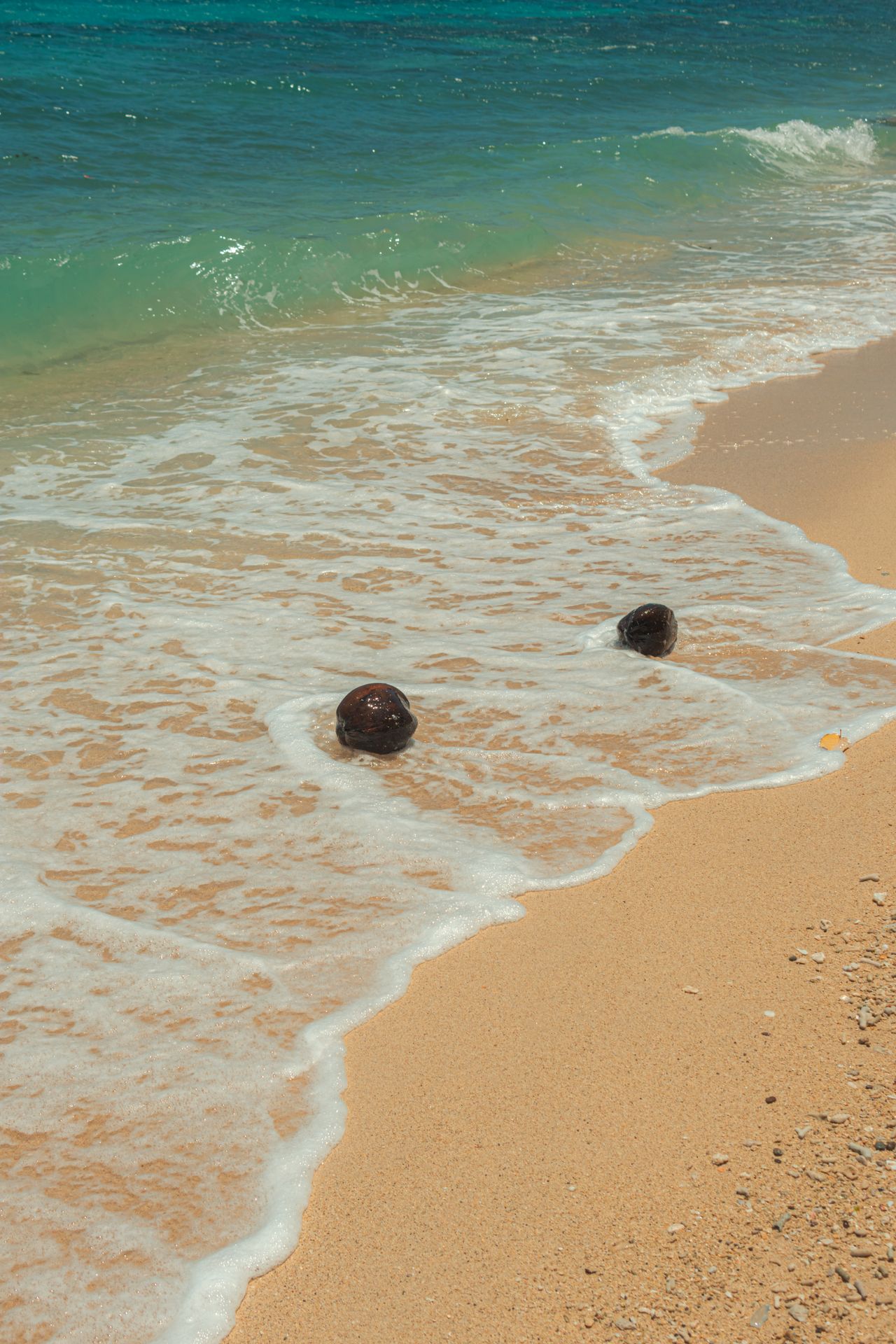 De Apia a To Sua — photo 4