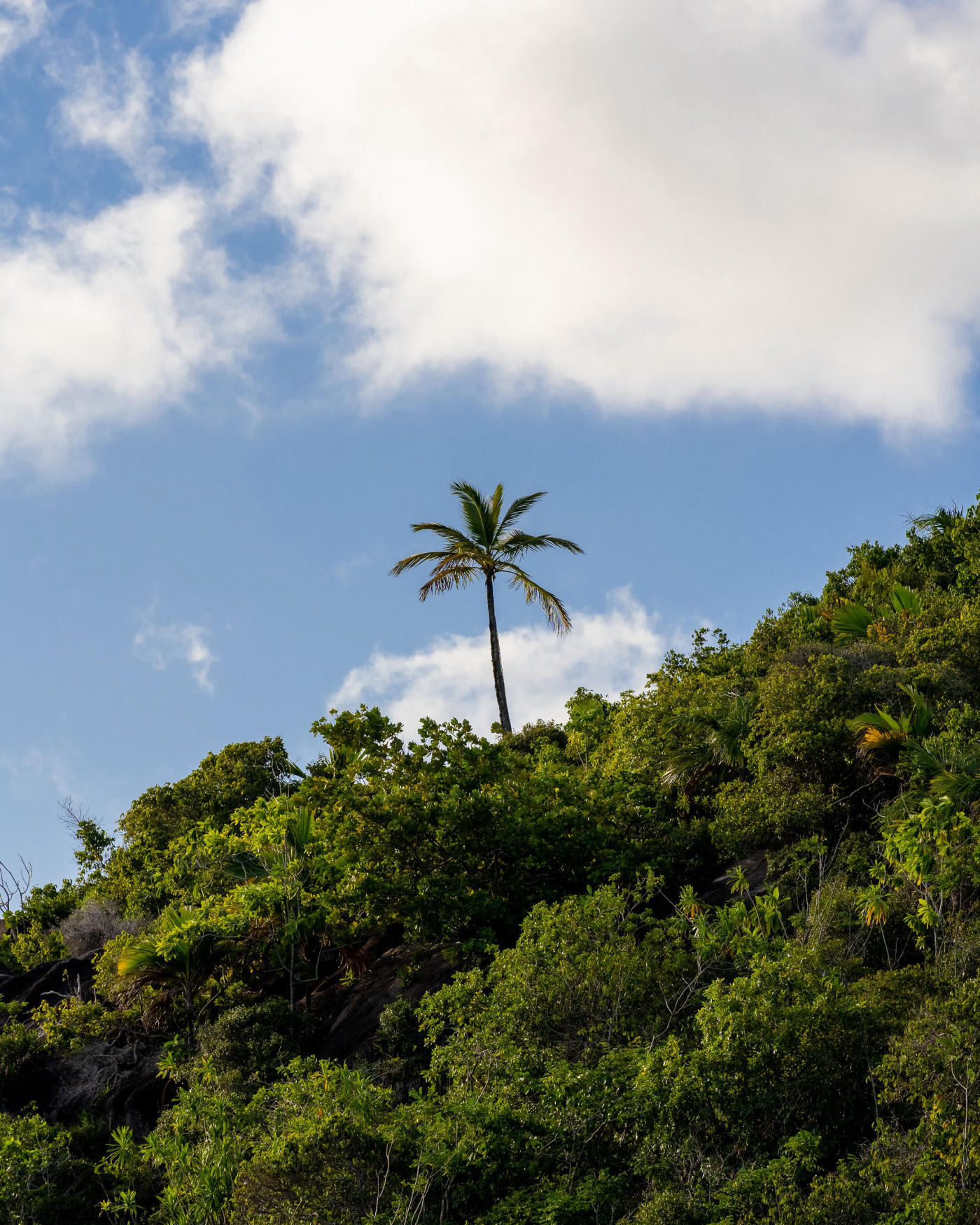 De Mahé a La Digue: rocas de granito y playas — photo 4