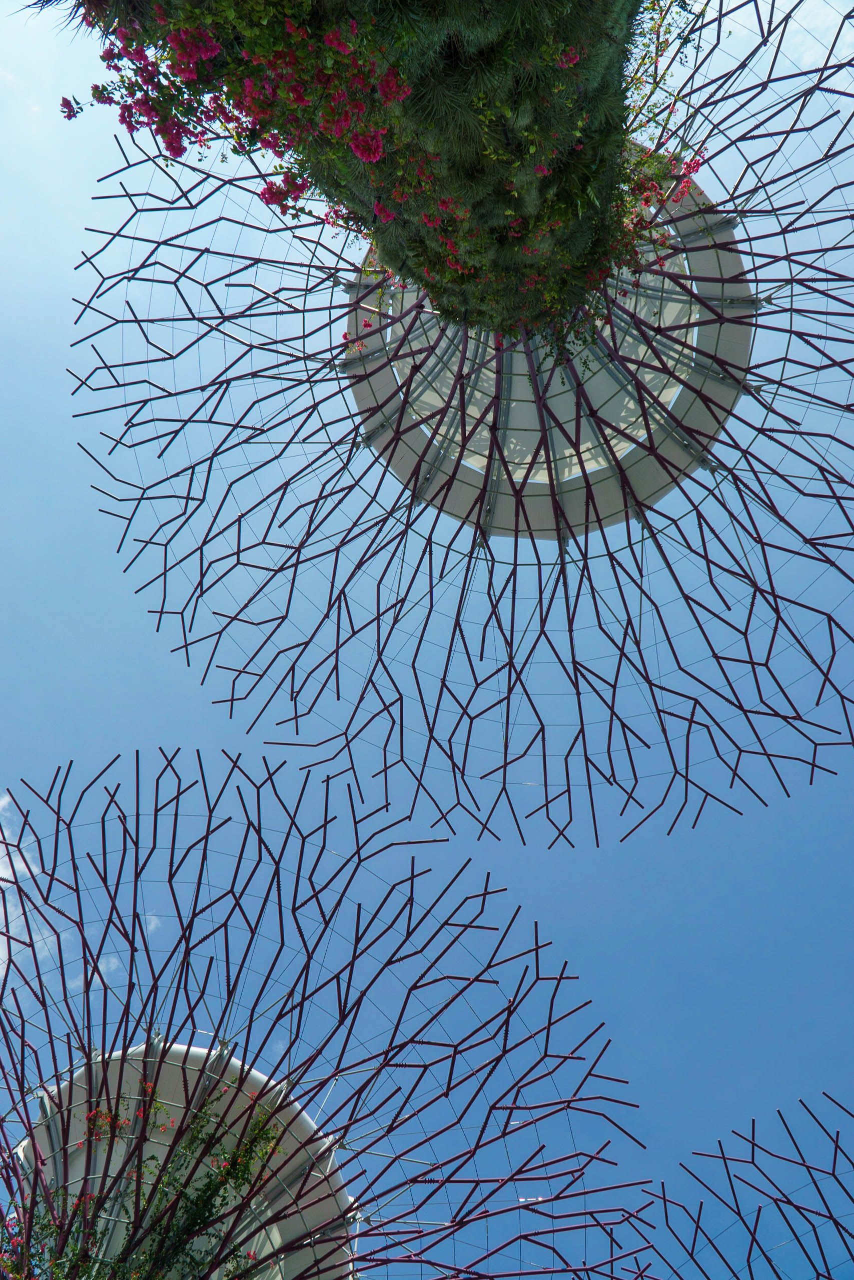 Marina Bay à Chinatown — photo 7