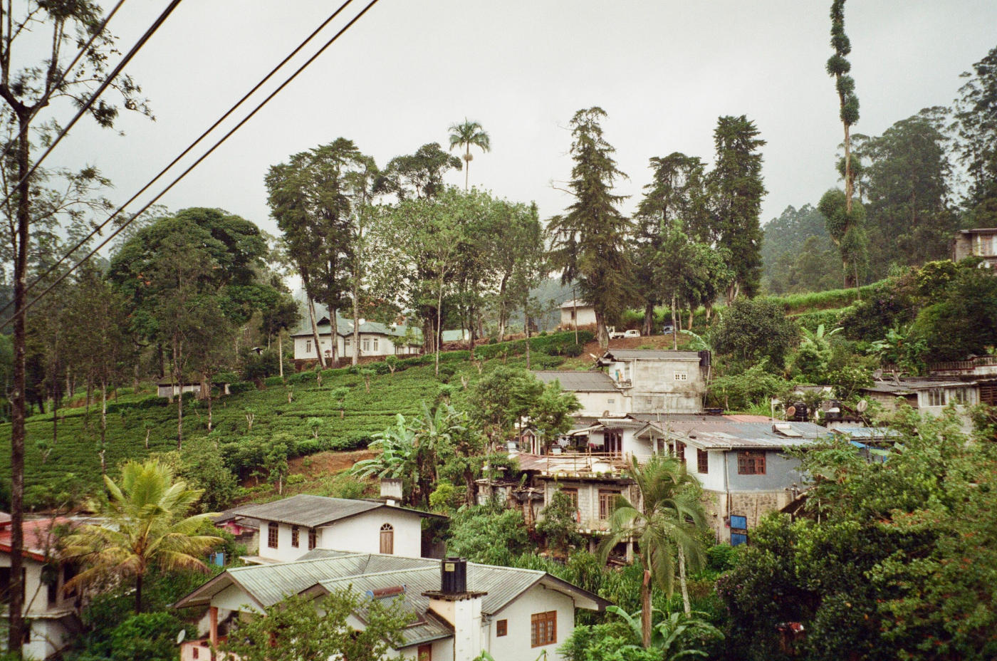 De Kandy a Mirissa: trenes, té y playas del sur — photo 4