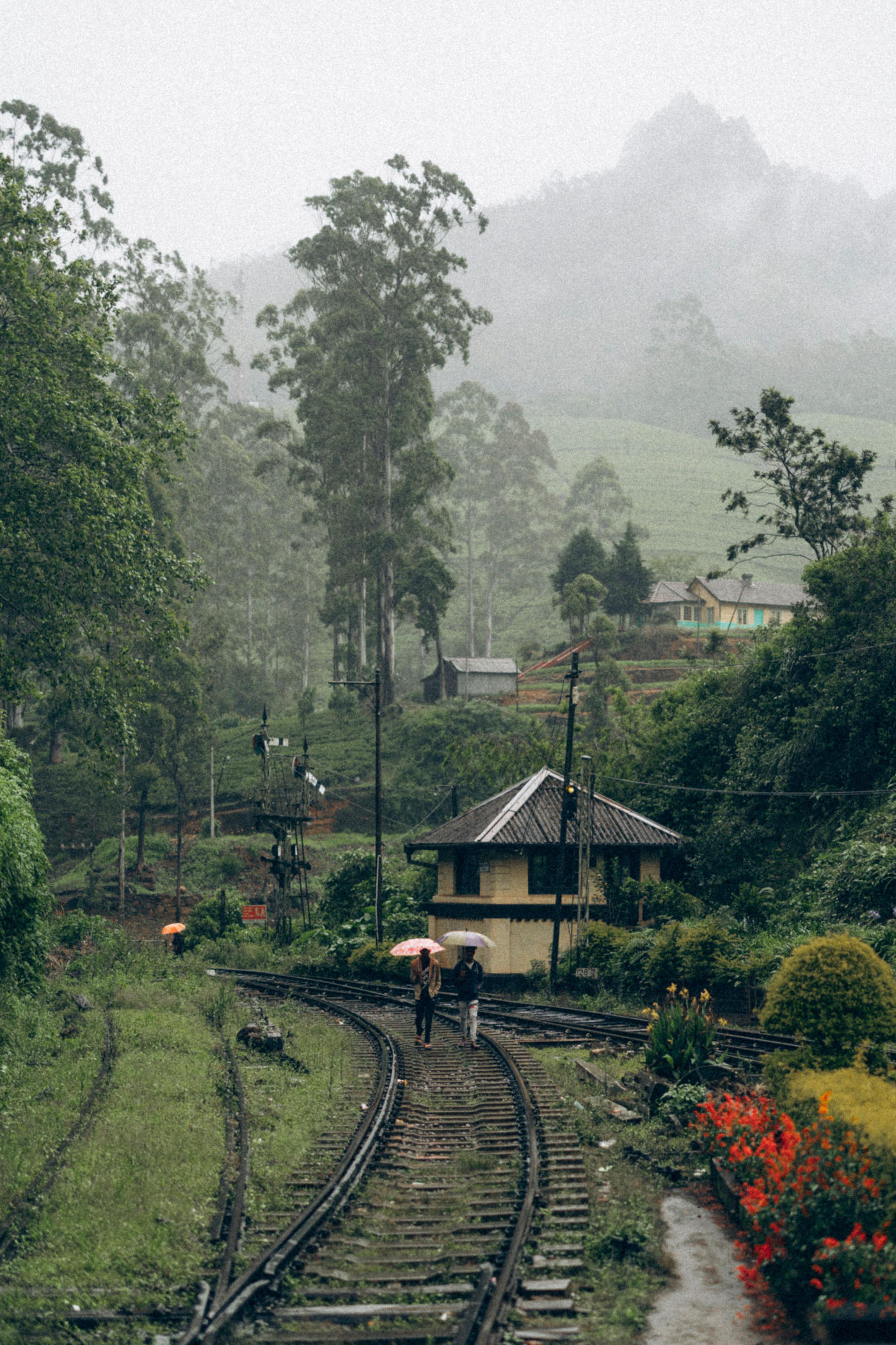 De Kandy a Mirissa: trenes, té y playas del sur — photo 5