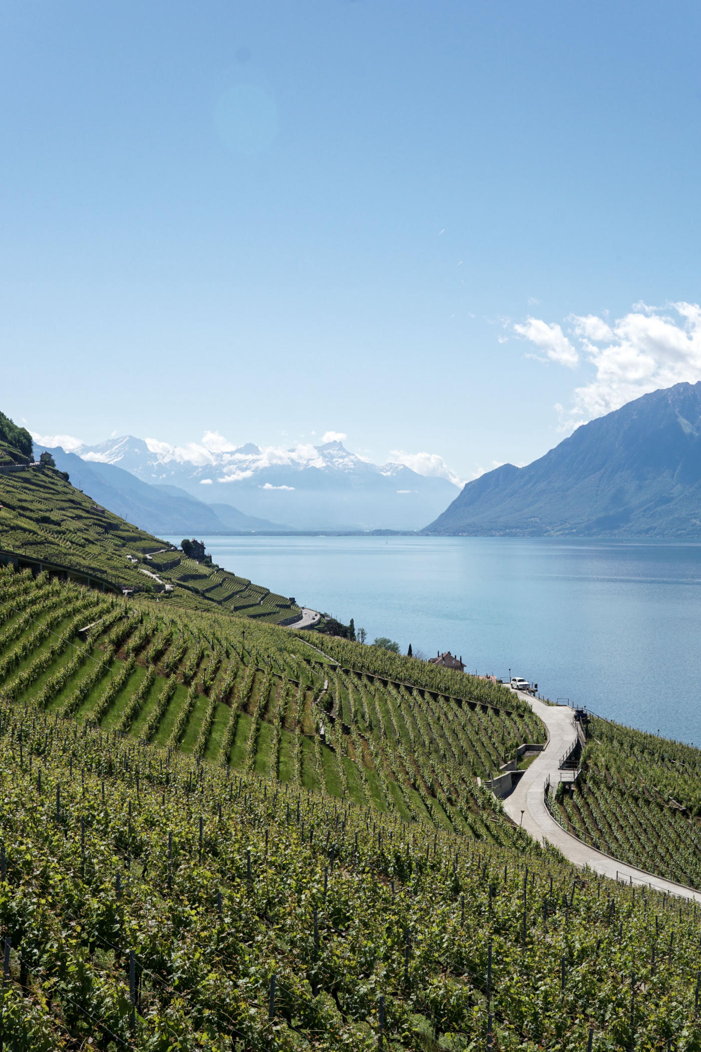 Suiza: Ginebra, Zermatt y Lucerna — photo 4