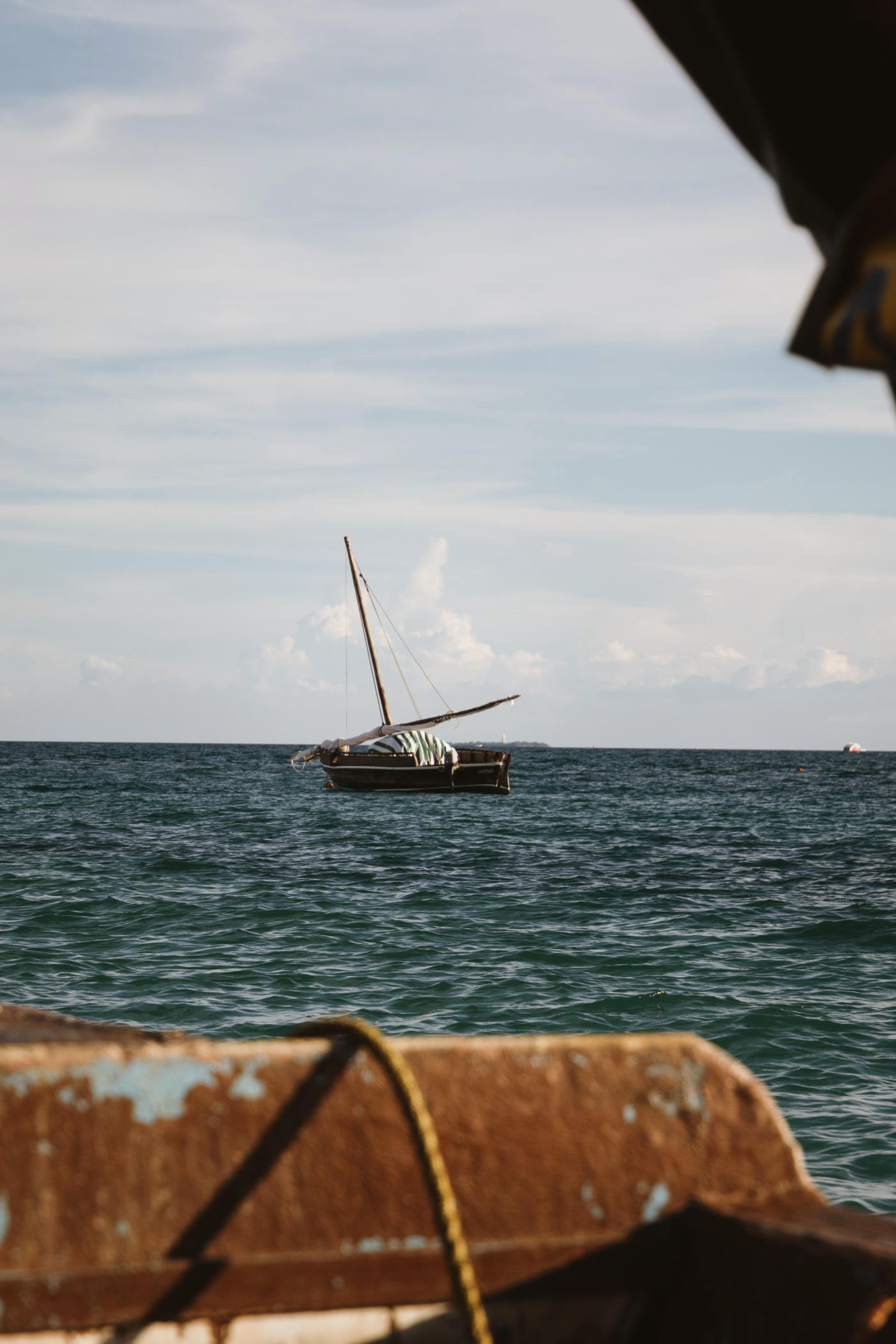 Serengeti to Zanzibar: Safari and Indian Ocean Beaches — photo 7