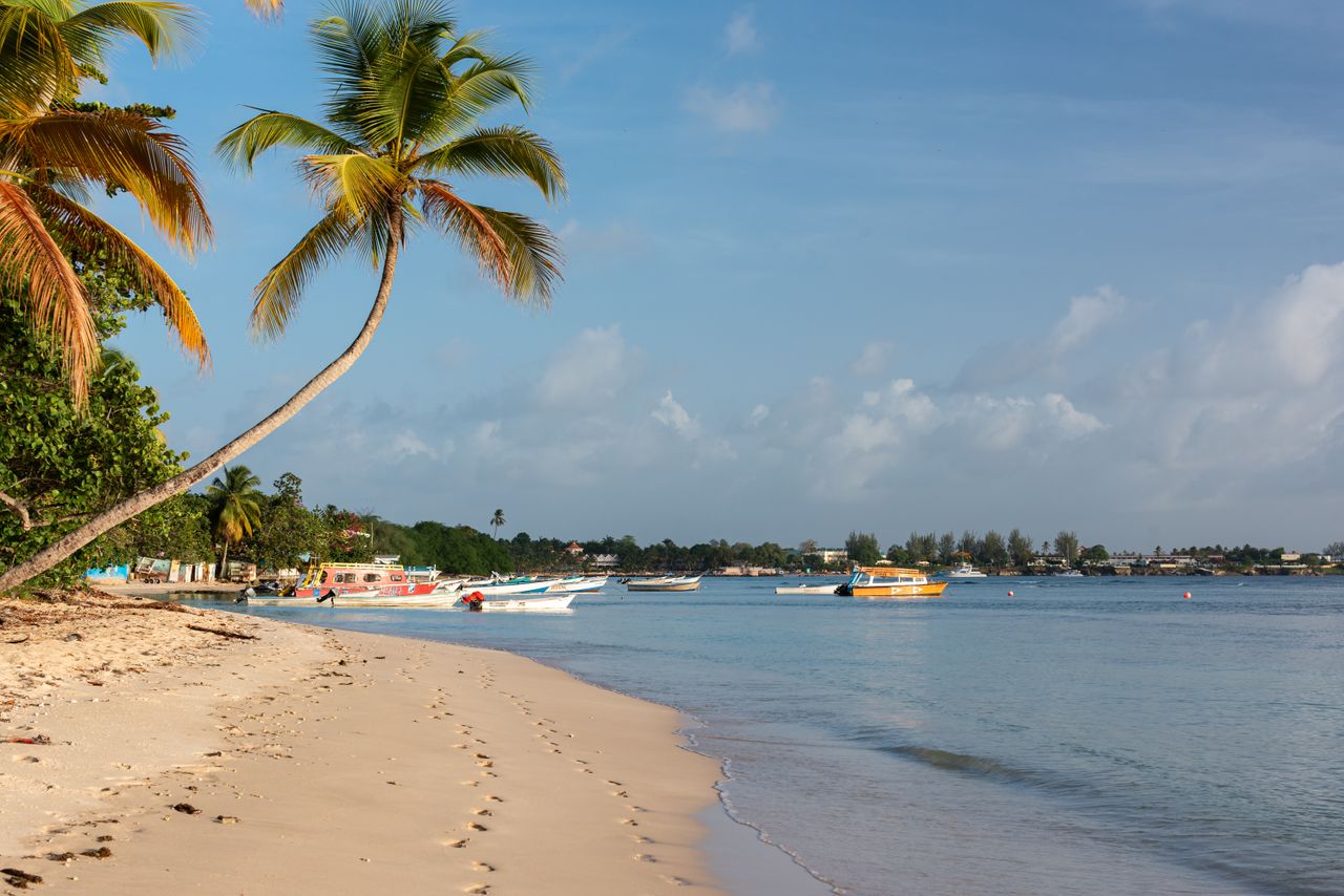 De Puerto España a Tobago — photo 3