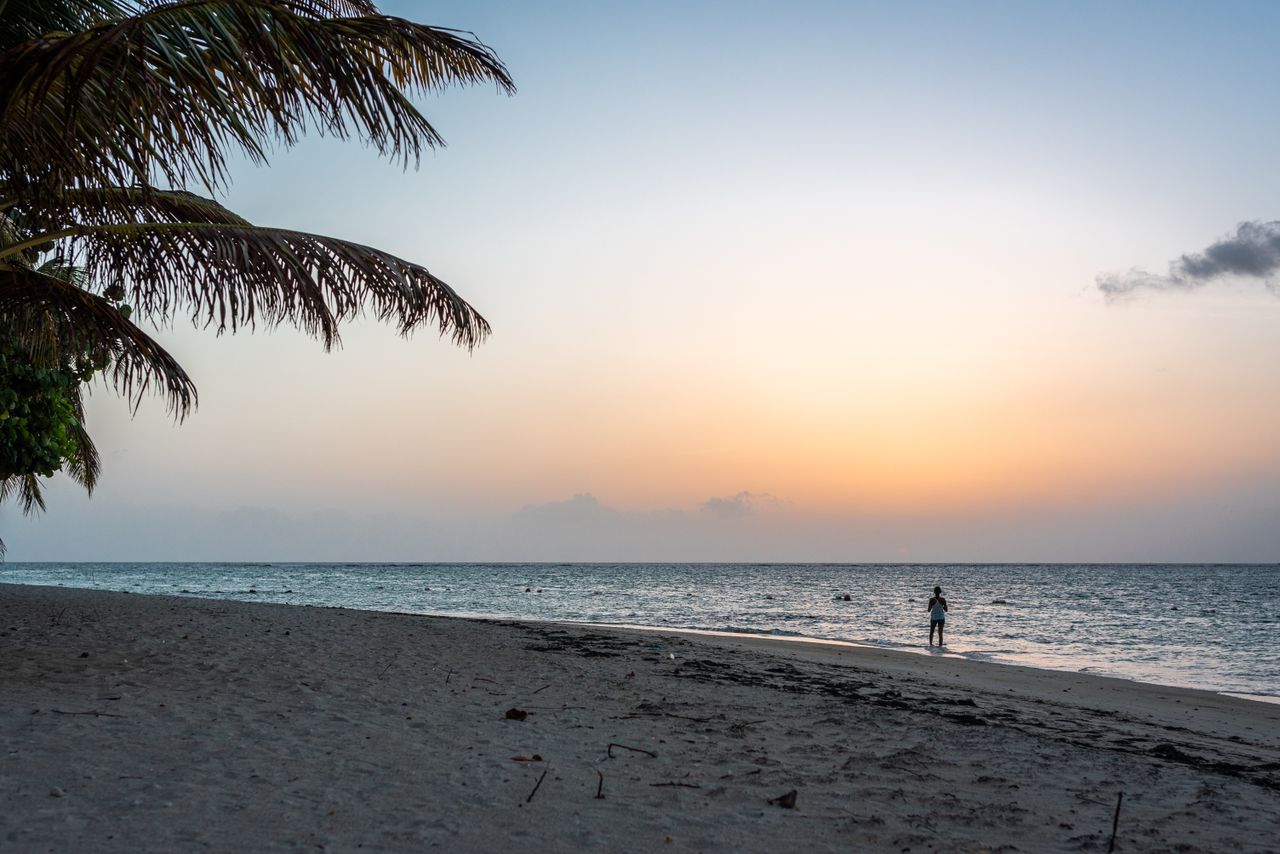 De Puerto España a Tobago — photo 4
