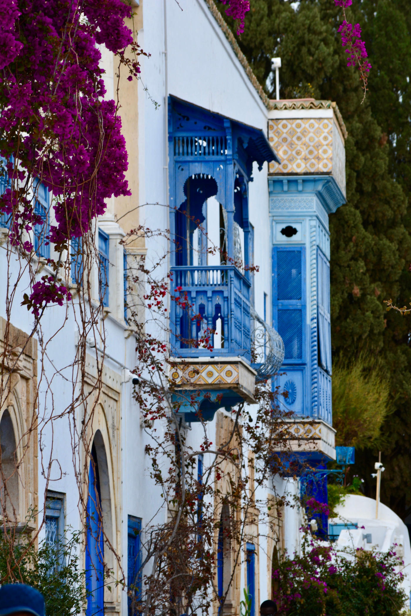Tunis à Douz — photo 3