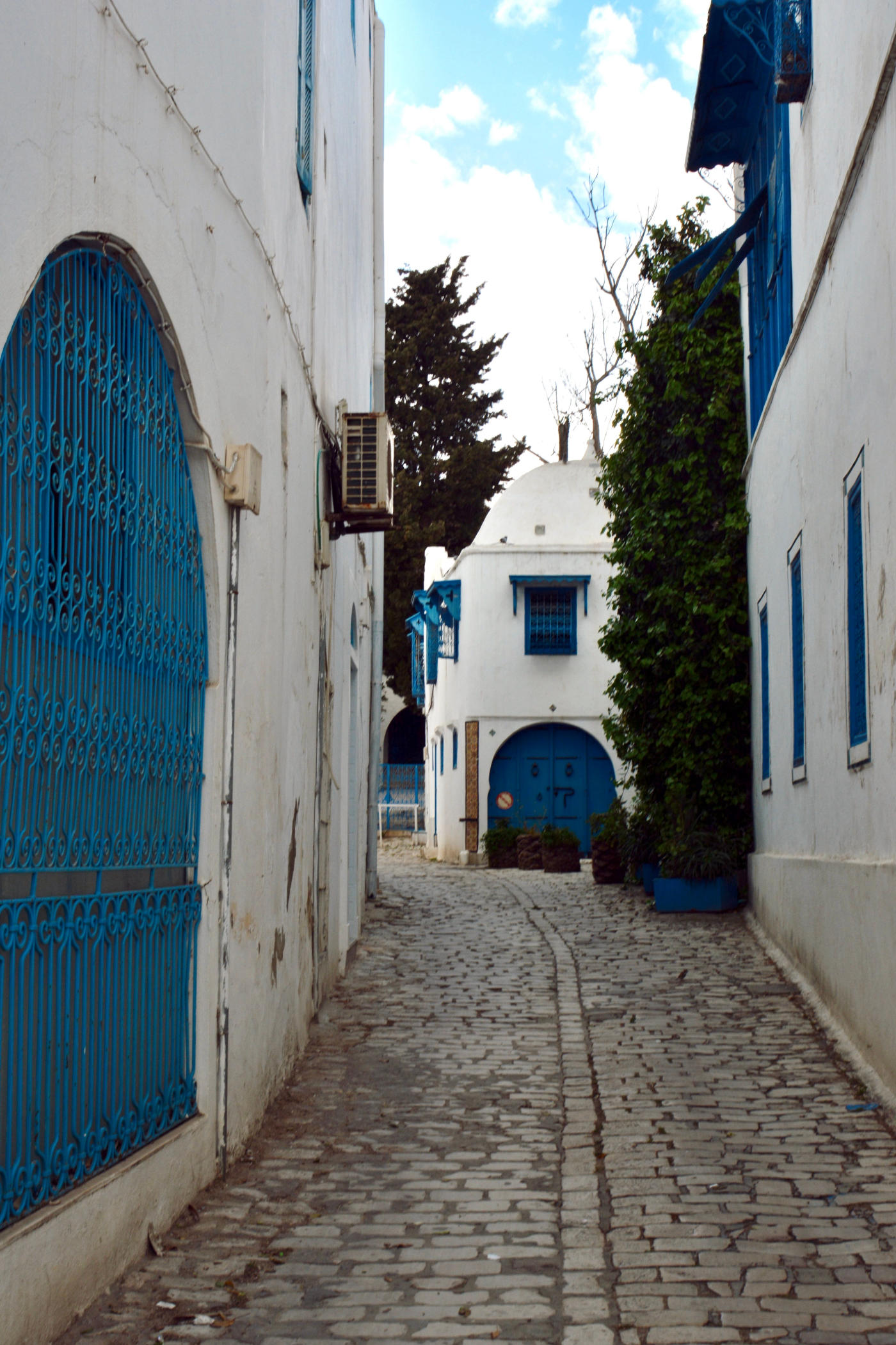 Tunis à Douz — photo 1