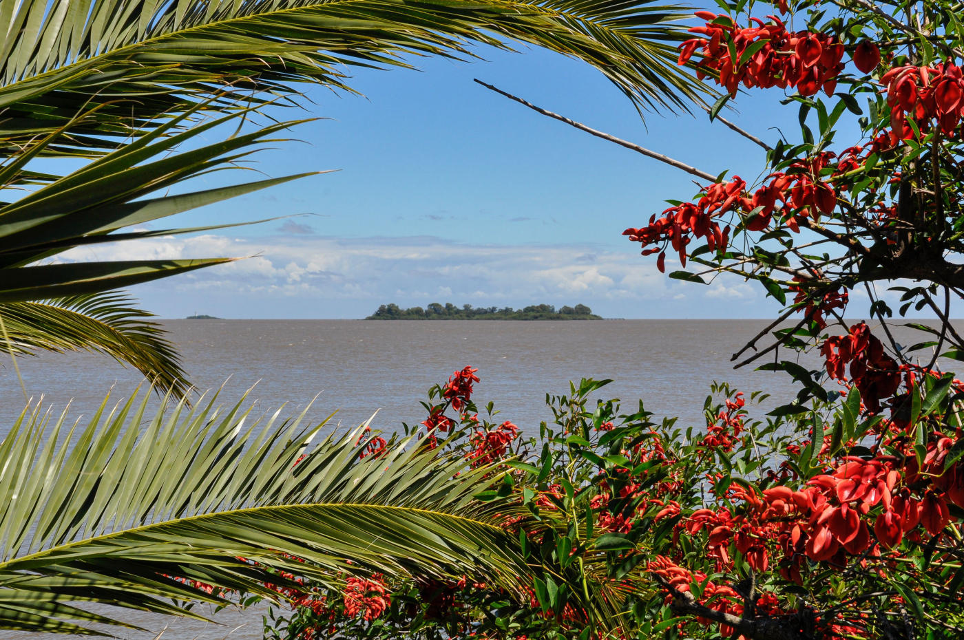 Colonia del Sacramento to Punta del Este — photo 4