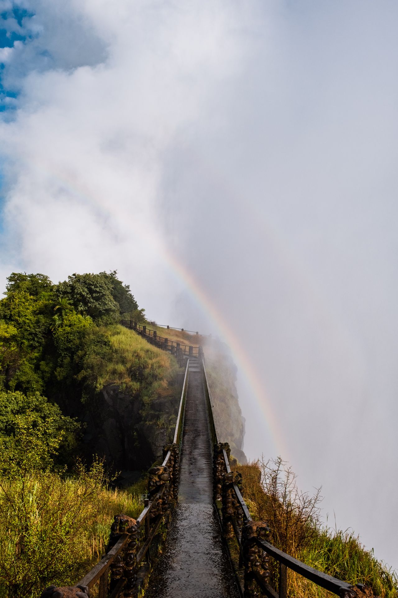 Victoria Falls to Hwange — photo 3